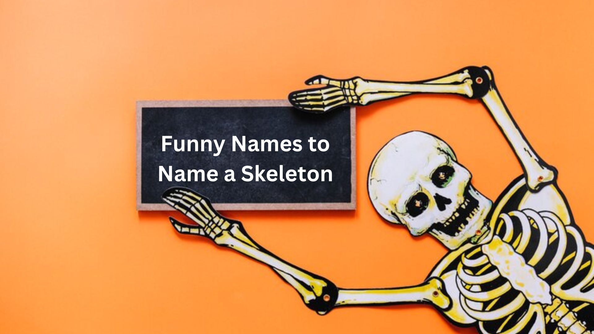 Funny Names to Name a Skeleton