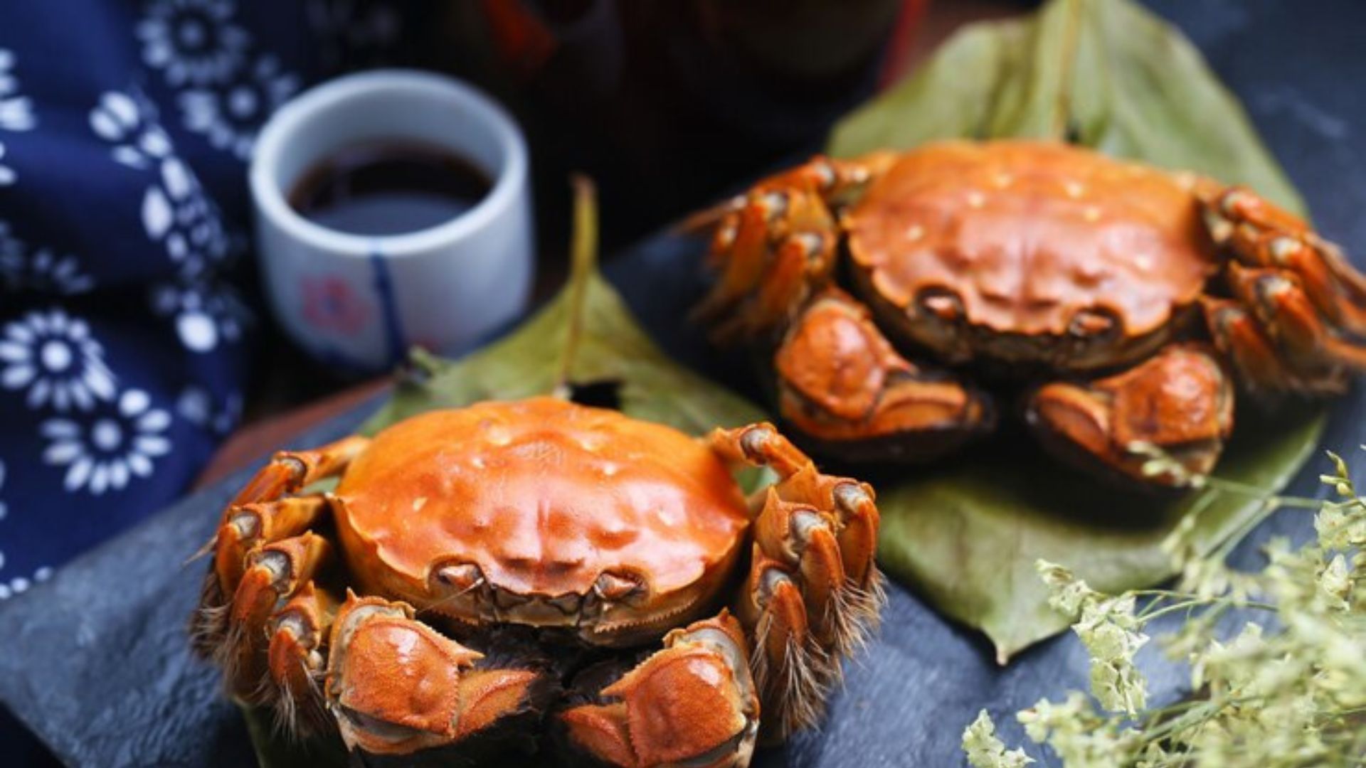 Can You Eat Coconut Crabs